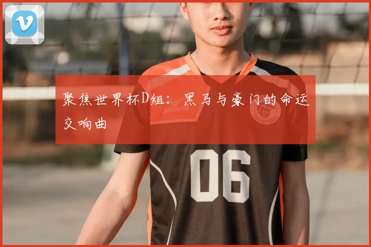 聚焦世界杯D组:黑马与豪门的命运交响曲