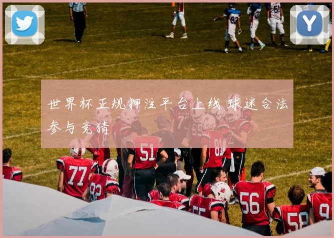 世界杯正规押注平台上线 球迷合法参与竞猜