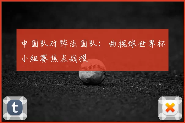 中国队对阵法国队：曲棍球世界杯小组赛焦点战报