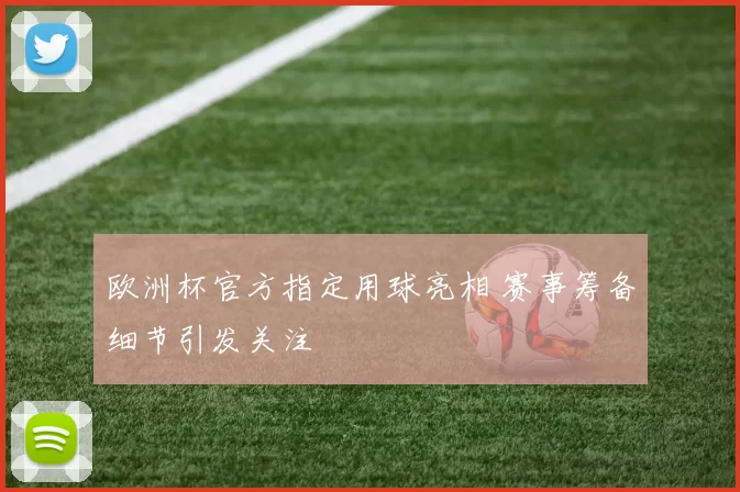 欧洲杯官方指定用球亮相 赛事筹备细节引发关注