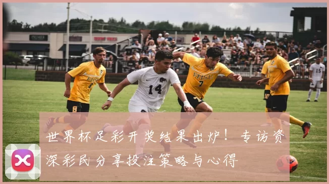 世界杯足彩开奖结果出炉！专访资深彩民分享投注策略与心得