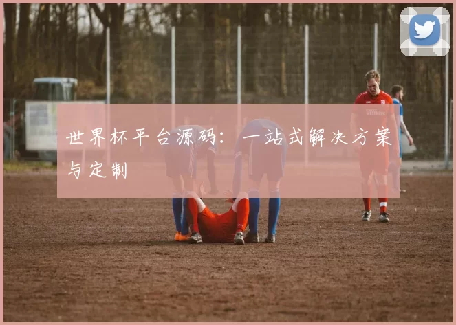 世界杯平台源码:一站式解决方案与定制