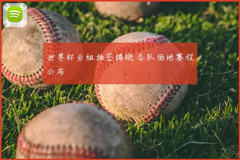 世界杯分组抽签揭晓 各队场地赛程公布
