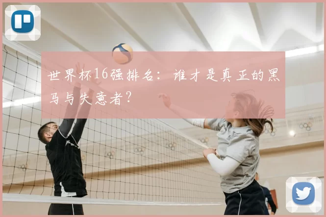 世界杯16强排名：谁才是真正的黑马与失意者？
