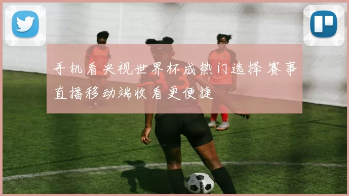 手机看央视世界杯成热门选择 赛事直播移动端收看更便捷