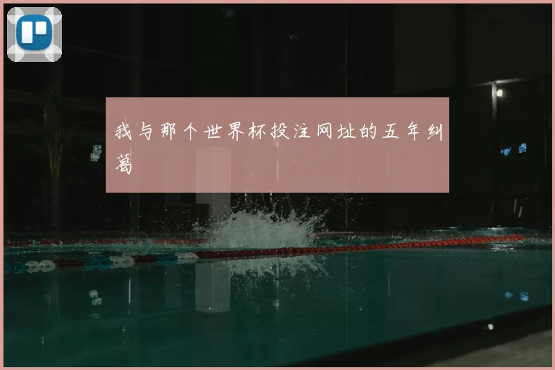 我与那个世界杯投注网址的五年纠葛